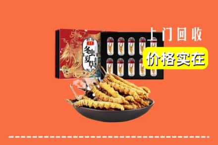 莒南县回收冬虫夏草